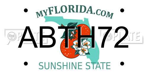 ABTH72 Florida License Plate