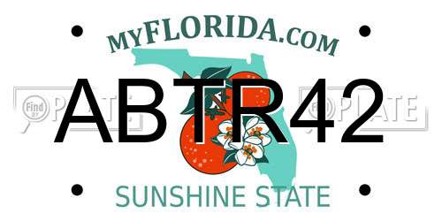 ABTR42 Florida License Plate