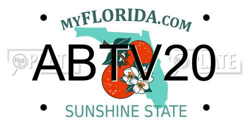 ABTV20 Florida License Plate