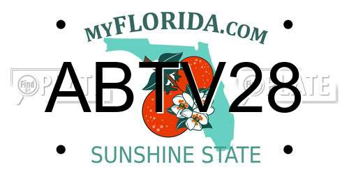 ABTV28 Florida License Plate