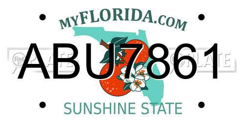 ABU7861 Florida License Plate