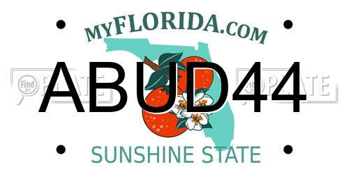 ABUD44 Florida License Plate