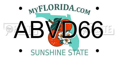ABVD66 Florida License Plate