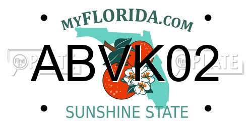 ABVK02 Florida License Plate