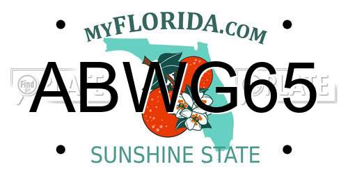 ABWG65 Florida License Plate