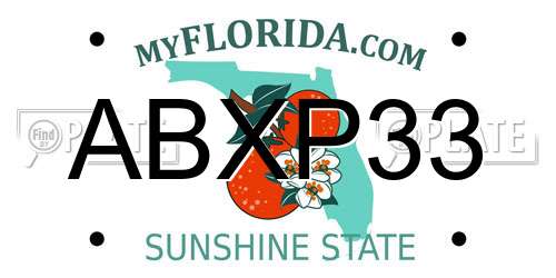 ABXP33 Florida License Plate