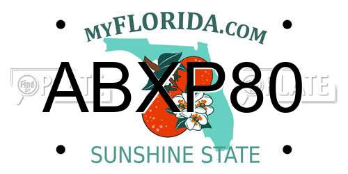 ABXP80 Florida License Plate