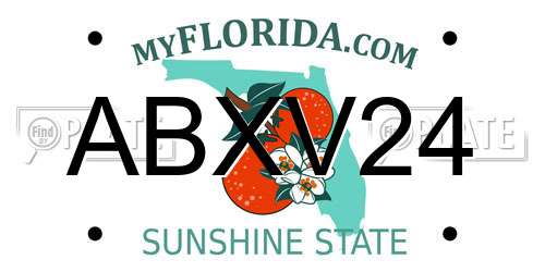 ABXV24 Florida License Plate