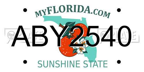 ABY2540 Florida License Plate