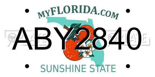 ABY2840 Florida License Plate