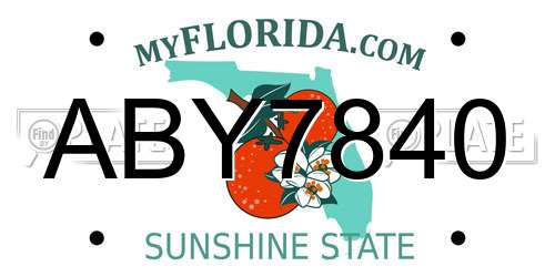 ABY7840 Florida License Plate