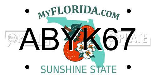 ABYK67 Florida License Plate