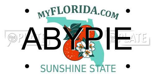 ABYPIE Florida License Plate