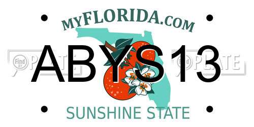 ABYS13 Florida License Plate