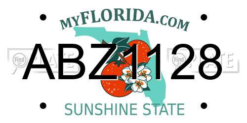 ABZ1128 Florida License Plate