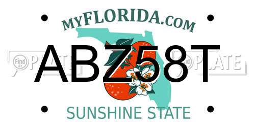 ABZ58T Florida License Plate
