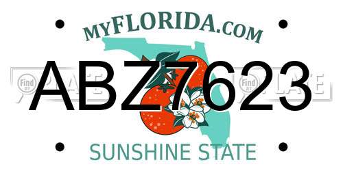 ABZ7623 Florida License Plate