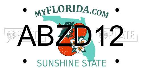 ABZD12 Florida License Plate