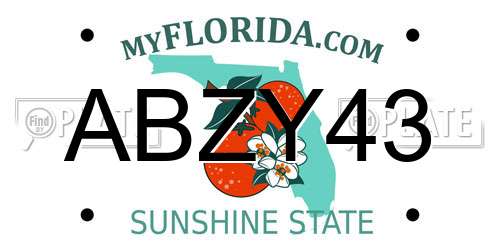ABZY43 Florida License Plate