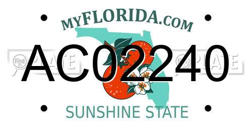 AC02240 Florida License Plate