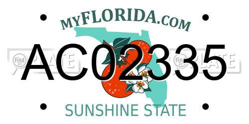 AC02335 Florida License Plate