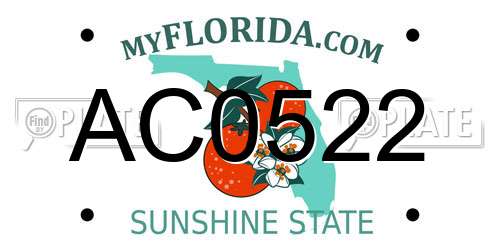 AC0522 Florida License Plate