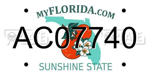 AC07740 Florida License Plate