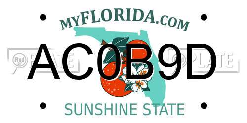 AC0B9D Florida License Plate