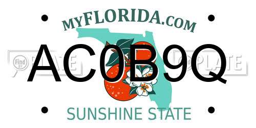 AC0B9Q Florida License Plate
