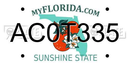 AC0T335 Florida License Plate