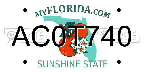 AC0T740 Florida License Plate