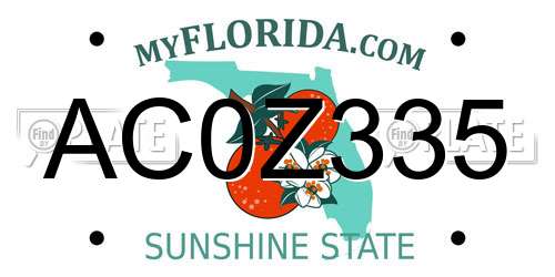 AC0Z335 Florida License Plate