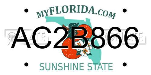 AC2B866 Florida License Plate