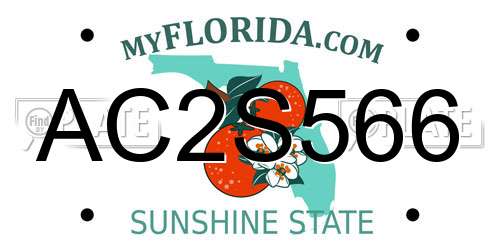 AC2S566 Florida License Plate