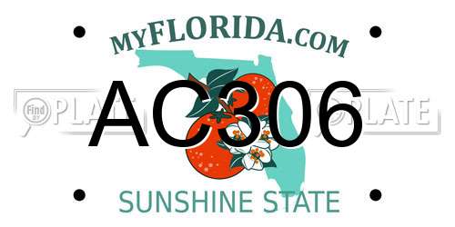 AC306 Florida License Plate