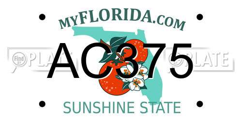 AC375 Florida License Plate