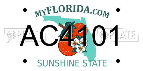 AC4101 Florida License Plate
