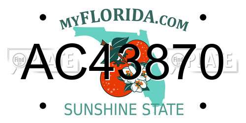 AC43870 Florida License Plate