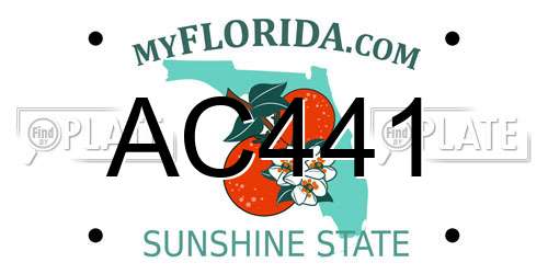 AC441 Florida License Plate
