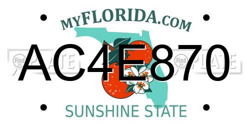 AC4E870 Florida License Plate