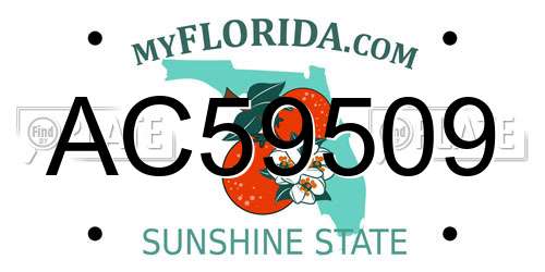 AC59509 Florida License Plate