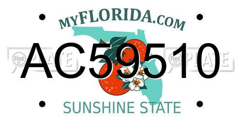 AC59510 Florida License Plate
