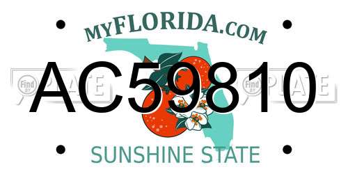 AC59810 Florida License Plate