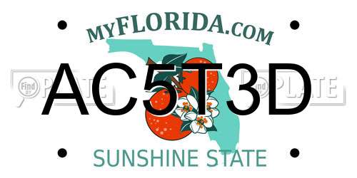 AC5T3D Florida License Plate