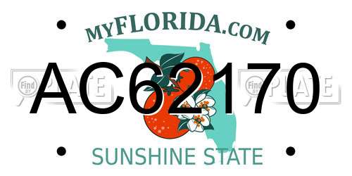 AC62170 Florida License Plate