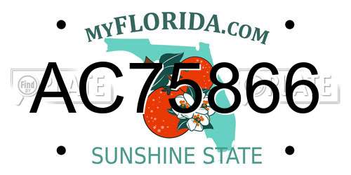 AC75866 Florida License Plate