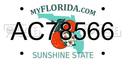 AC78566 Florida License Plate