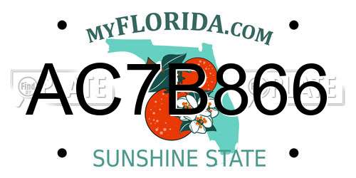 AC7B866 Florida License Plate