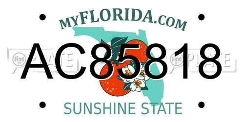 AC85818 Florida License Plate