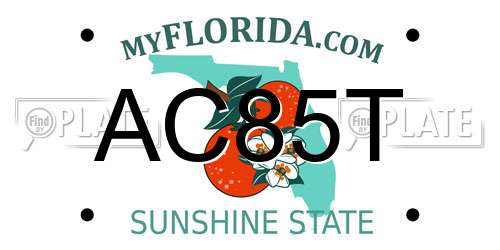 AC85T Florida License Plate